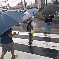 交通事故死ゼロの日活動ご報告