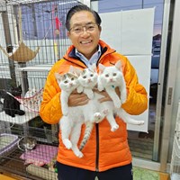 猫の譲渡会 ご報告と御礼