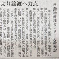 犬猫 殺処分から「譲渡」へ力点(愛知県)