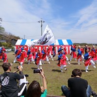 日進市岩崎城春まつり「岩崎川会場」