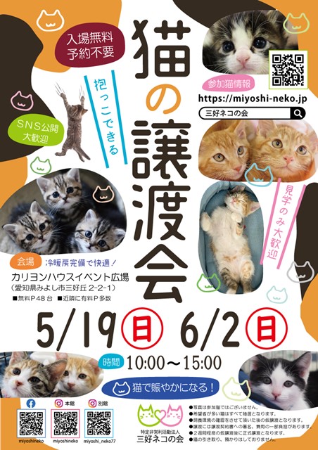 5/19譲渡会参加猫ちゃんご紹介！