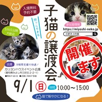 9月1日 猫の譲渡会ご案内