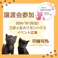 猫の譲渡会結果報告