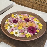 日進市菊花大会(岩崎城址公園)