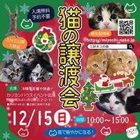 12月猫の譲渡会のご案内