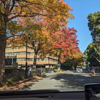 愛知県商工会連合会 要望書