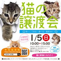 猫の譲渡会のご案内