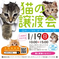 猫の譲渡会のご案内