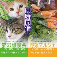 猫の譲渡会開催！野菜マルシェ同時開催