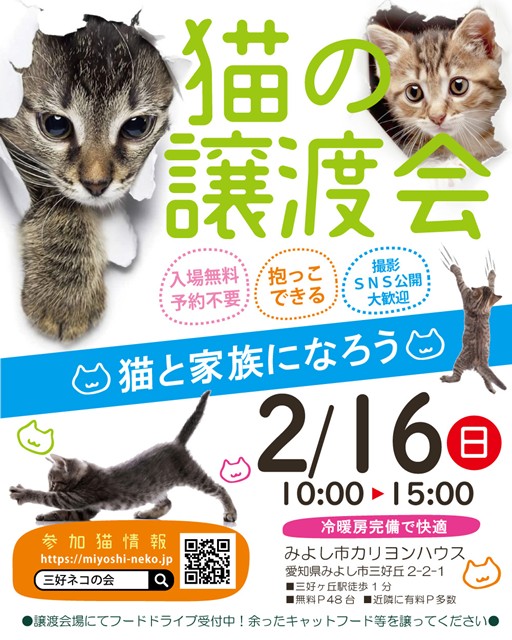 2/16(日）猫の譲渡会のご案内