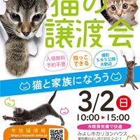 猫の譲渡会のご案内