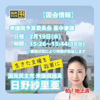 日野さりあ衆議院議員(初の地上波)質疑