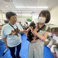 三好ネコの会「猫の譲渡会」