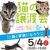 5/4猫の譲渡会のご案内