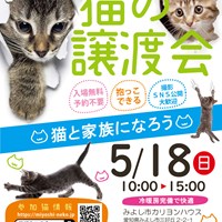 5/18猫の譲渡会のご案内
