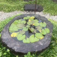 令和7年度にっしんオープンガーデン