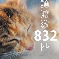NPO法人三好ネコの会 祝13周年！
