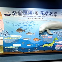 愛知県議会県民環境委員会県内調査②