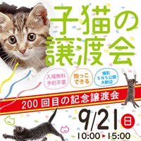 9/21（日）猫の譲渡会のご案内