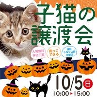 10/5子猫の譲渡会