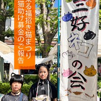 福招き猫まつりin瀬戸の猫助け募金ご報告