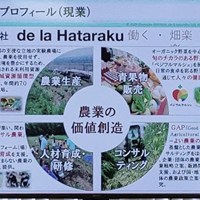 愛知県議会「あいち民主県議団研修会」