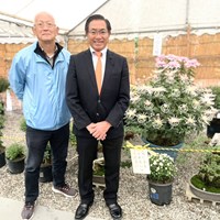 第39回日進市菊花大会(岩崎城址公園)