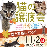 NPO法人三好ネコの会 猫の譲渡会