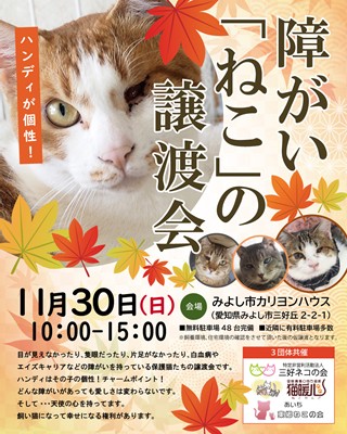 11/30障がい猫の譲渡会のご案内