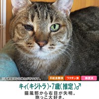 障がい猫の譲渡会