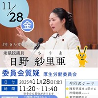 日野さりあ衆議院議員 厚生労働委員会質疑