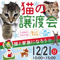 年内最後の譲渡会のご案内