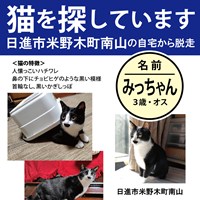 指名手配中！！