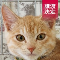 里親さんがたくさん！感謝です！！