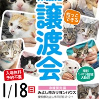 1/18(日)保護猫譲渡会のご案内
