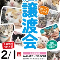 保護猫の譲渡会のご案内