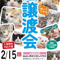 保護猫譲渡会開催中