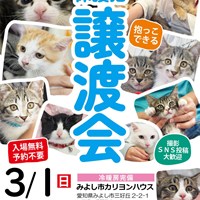 3/1(日)保護猫譲渡会のご案内