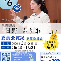 日野さりあ衆議院銀　議案質疑