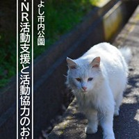 地域猫TNR活動報告とご協力への御礼