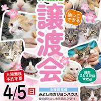 保護猫譲渡会のご案内