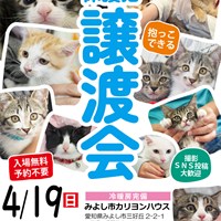 4/19保護猫譲渡会のご案内