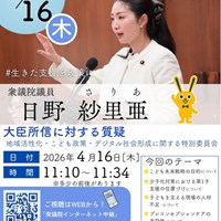 日野さりあ衆議院議員　委員会質疑