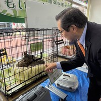 4/19保護猫譲渡会