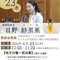 日野さりあ衆議院議員　特別委員会質疑