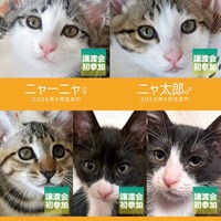 7/5(日)保護猫譲渡会 盛況！
