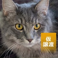 7/5譲渡会の結果ご報告