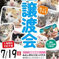 7/19(日)保護猫譲渡会のご案内