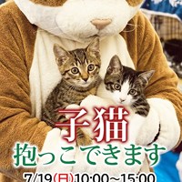7/19保護猫譲渡会開催中