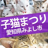保護猫譲渡会のご案内